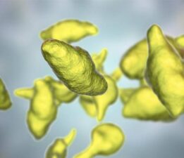 Süper bakteri hızla yayılıyor; cinsel yolla bulaşıyor!